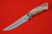 Нож Охотник (клинок изготовлен из ламината, мельхиор, рукоять корень клёна)